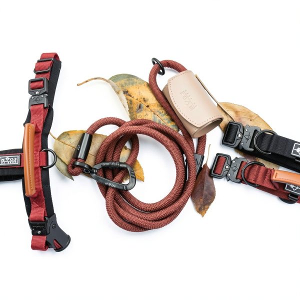 Explorer Dog Leash Made to Roam Aviation Aluminum-4