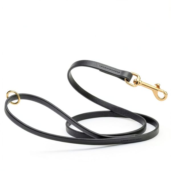 Dogline Viper Biothane Dog Leash for Pet Training-5