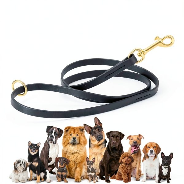 Dogline Viper Biothane Dog Leash for Pet Training-6