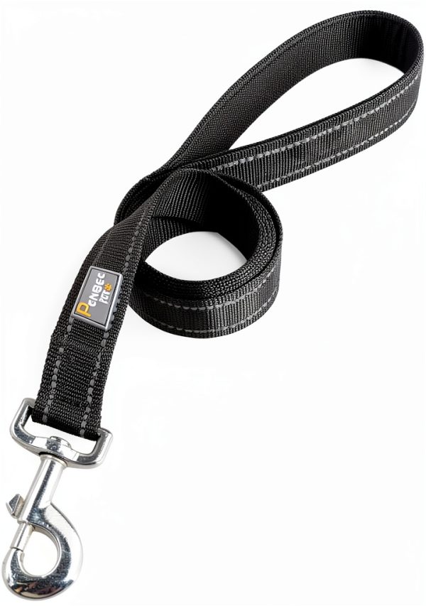 Reflective Dog Leash PenSeePet Nylon 6ft-1