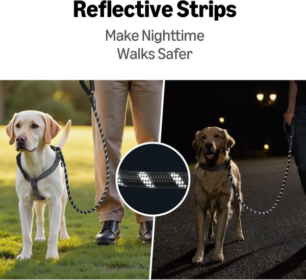 Tianyuan Heavy Duty Dog Leash-4