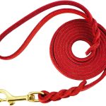 Leather Dog Leash LWBMG Training Leash for Small Medium Dogs-0