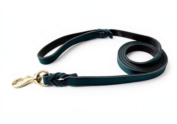 LWBMG Leather Dog Leash Real Italian Leather Training Leash-4