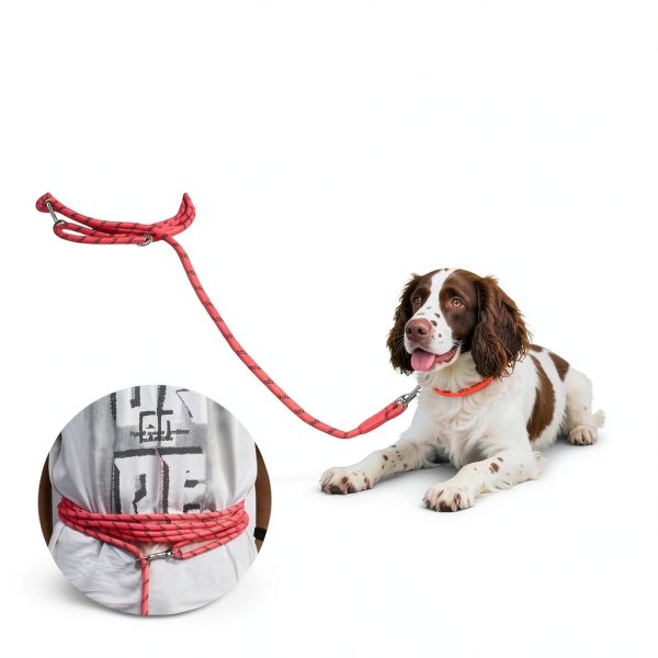 Tairro Dog Training Leash Reflective Nylon Outdoor Pet-1