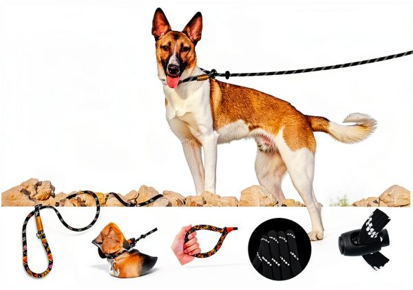 Keenleader Dog Leash Training Leash-1