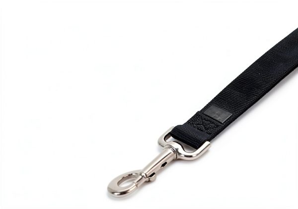 PetSafe Nylon Leash 3/8 x 6 Quick Attach Dog Lead Durable-1