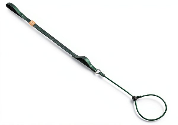 HowGo Adjustable Dog Slip Leash-4