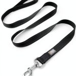 Reflective Dog Leash PenSeePet Nylon 6ft-0