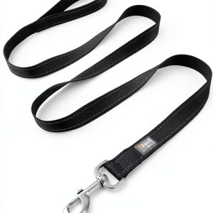 Reflective Dog Leash PenSeePet Nylon 6ft-0
