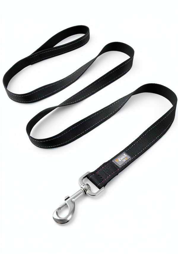 Reflective Dog Leash PenSeePet Nylon 6ft-0