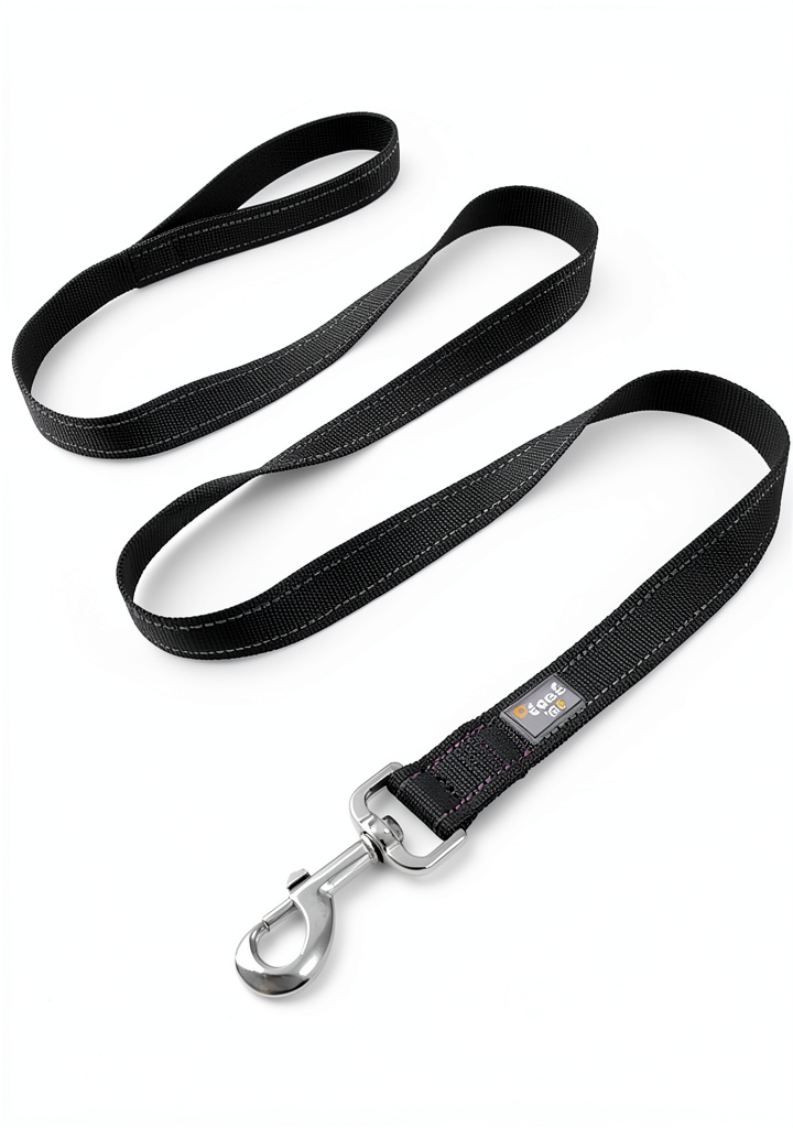 Dog walking at dusk with reflective leash