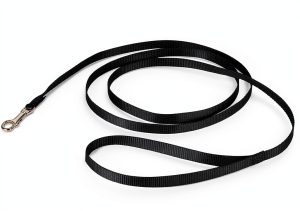 PetSafe Nylon Leash 3/8 x 6 Quick Attach Dog Lead Durable-0