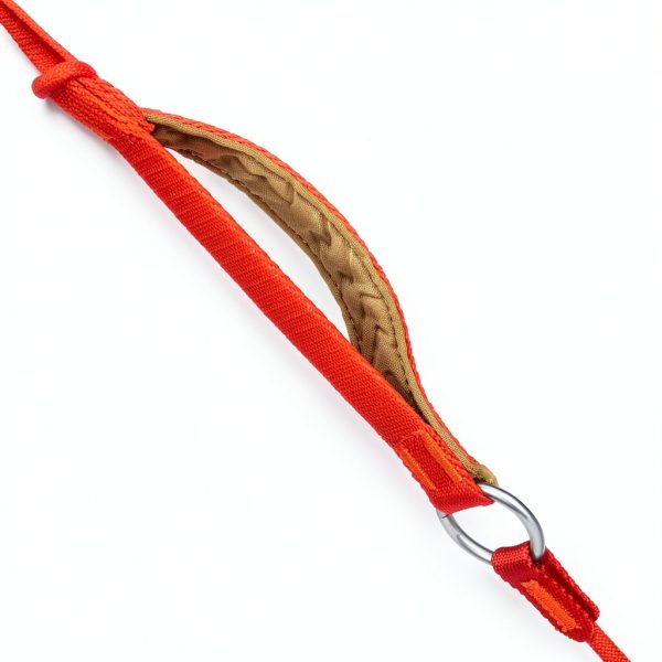 HowGo Adjustable Dog Slip Leash-3