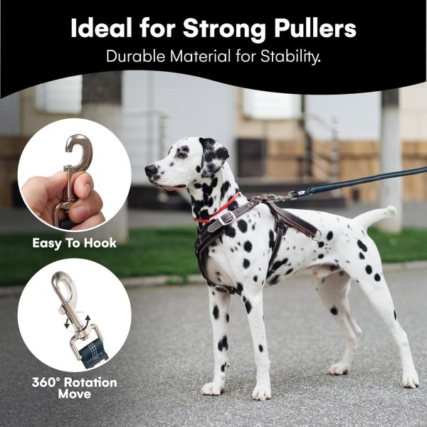 Black Rhino Heavy Duty Dog Leash Reflective Double Handle-4