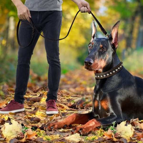LWBMG Leather Dog Training Leash Real Italian Copper Hook-6