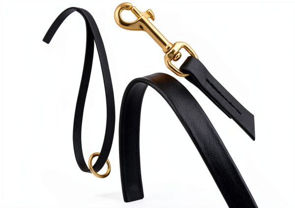 Dogline Viper Biothane Dog Leash for Pet Training-1
