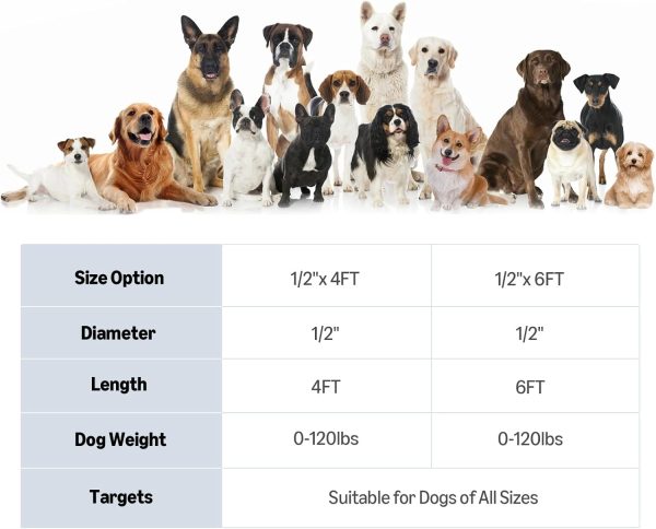 Tianyuan Heavy Duty Dog Leash-5