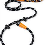 Keenleader Dog Leash Training Leash-0