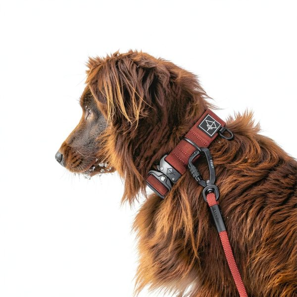 Explorer Dog Leash Made to Roam Aviation Aluminum-6