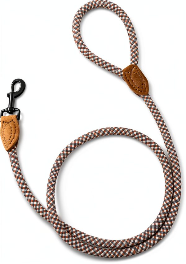 Universal Promotions Dog Leash Heavy Duty Material-4