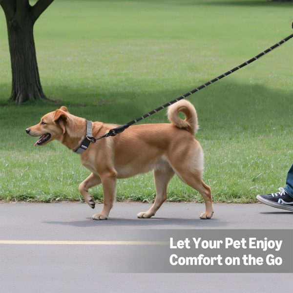 Tianyuan Heavy Duty Dog Leash-3