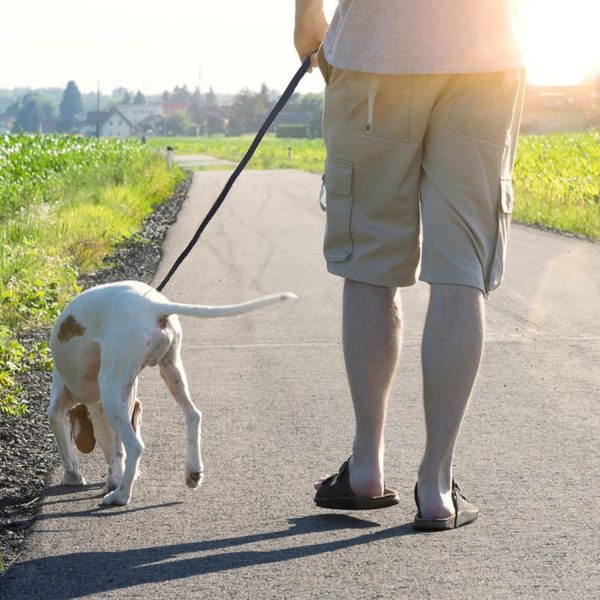 LWBMG Leather Dog Leash Braided Heavy Duty Training Leash-5